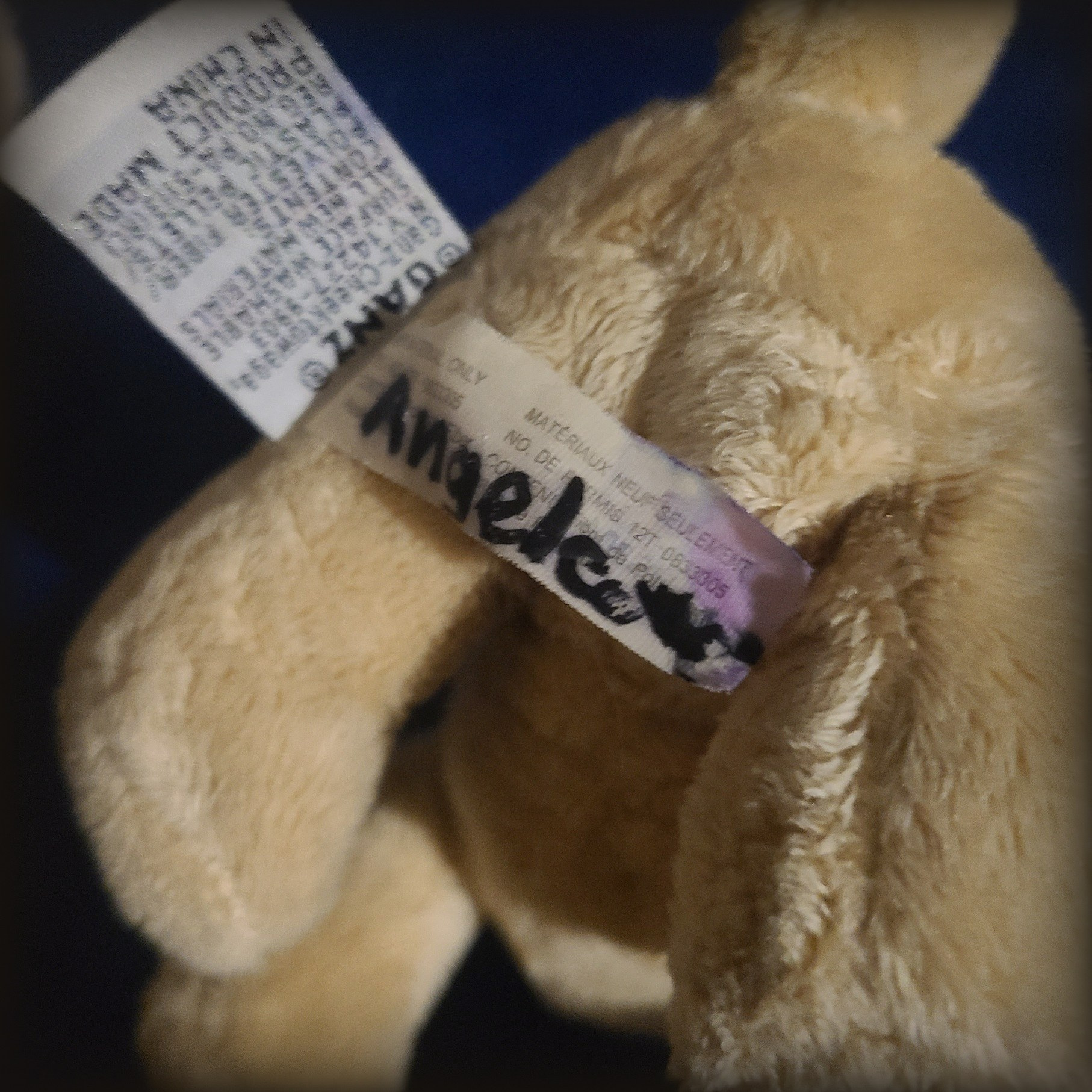 'Angele'? Maybe Angela! Chihuahua